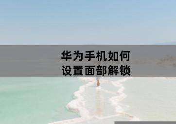 华为手机如何设置面部解锁 华为手机如何设置面部解锁-图片2